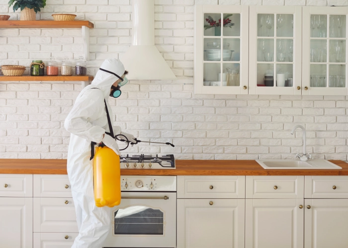 Trattamento contro le cimici dei letti a Palermo 90100