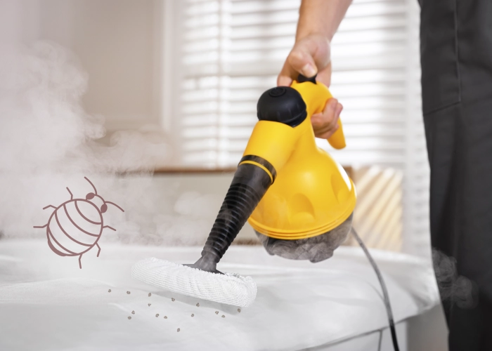 Trattamento contro le cimici dei letti a Reggio Calabria 89121